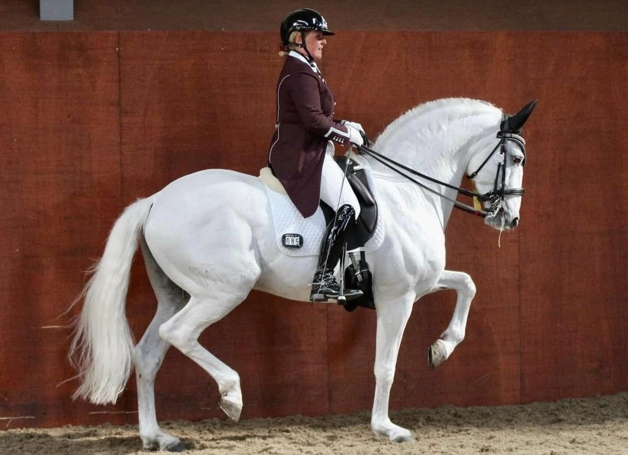 Justine Armitage & her Lusitano stallion Xique de Tramagueira